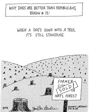 Dog Gone Trees