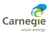 Carnegie Wave Logo