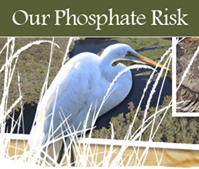 Phosphate Risk